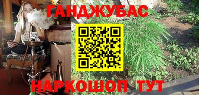 дмт Славгород