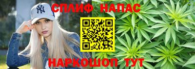 дмт Славгород