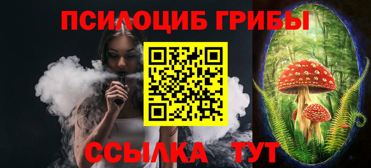 Псилоцибиновые грибы Cubensis  Вход с VPN  Нальчик 